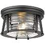 2_Z-Lite Cape Harbor 12"W Matte Black 2-Light Ceiling Light