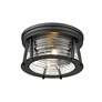 6_Z-Lite Cape Harbor 12"W Matte Black 2-Light Ceiling Light more views