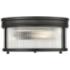 Z-Lite Carnaby 13" Wide Matte Black 2-Light Ceiling Light