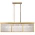Z-Lite Carnaby 42 1/4" Wide Gold 10-Light Rectangular Modern Pendant