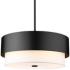 Z-Lite Counterpoint 24" Wide 5-Light Matte Black Drum Pendant Light