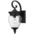 Z-Lite Davina 16 3/4" High Black Outdoor Wall Light