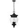 Z-Lite Davina 23 3/4"H Black 4-Light Outdoor Hanging Light