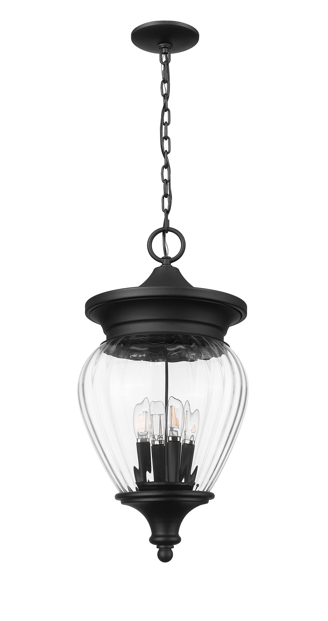 Image 7 Z-Lite Davina 23 3/4"H Black 4-Light Outdoor Hanging Light more views