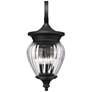 5_Z-Lite Davina 28" High Black 4-Light Outdoor Wall Light more views