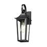 Thumbnail4 of Z-Lite Gannon 17 1/4" High Black Outdoor Wall Lantern more views