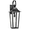 Z-Lite Gannon 22 1/4" High Black Outdoor Wall Light