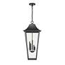 5_Z-Lite Gannon 35 3/4"H Black 5-Light Outdoor Hanging Light more views