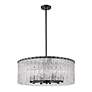 Z-Lite Glacier 26 3/4" Wide Matte Black Steel 10-Light Pendant in scene