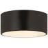 Z-Lite Harley 12" Wide Matte Black 2-Light Flush Mount Ceiling Light