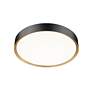 6_Z-Lite Kawan 20" Wide Matte Black And Gold LED Ceiling Light more views