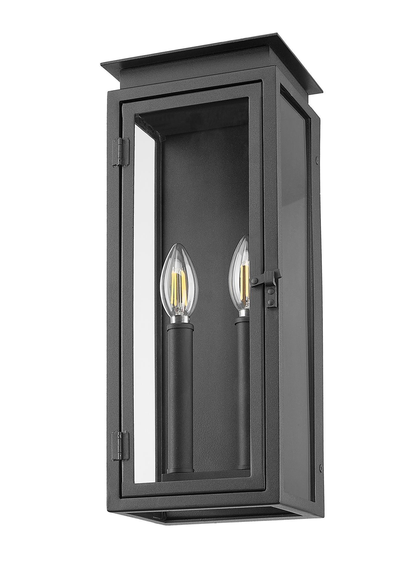 Z-Lite Nova 16 1/2" High Black 2-Light Outdoor Wall Light