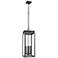 Z-Lite Nova 27 1/2" High Black 4-Light Outdoor Hanging Light