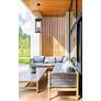 3_Z-Lite Nova 27 1/2" High Black 4-Light Outdoor Hanging Light more views