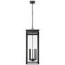 5_Z-Lite Nova 35" High Black 5-Light Outdoor Hanging Light more views