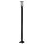 Z-Lite Outdoor Post Light in Black Finish