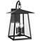 Z-Lite Rainer 23" High Black 4-Light Outdoor Wall Light