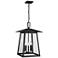 Z-Lite Rainer 24" High Black 5-Light Outdoor Hanging Light