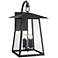 Z-Lite Rainer 31" High Black 6-Light Outdoor Wall Light