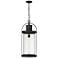 Z-Lite Roundhouse 28 1/4" High Black Outdoor Hanging Light