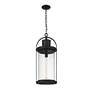 5_Z-Lite Roundhouse 28 1/4" High Black Outdoor Hanging Light more views