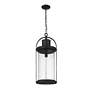 Z-Lite Roundhouse 28 1/4" High Black Outdoor Hanging Light in scene
