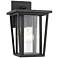 Z-Lite Seoul 11 1/2" High Black Outdoor Wall Light