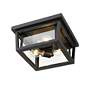 6_Z-Lite Seoul 12" Black and Clear Glass 3-Light Outdoor Ceiling Light more views