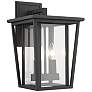 1_Z-Lite Seoul 14 3/4" High Black and Clear Glass Outdoor Wall Light