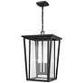 2_Z-Lite Seoul 21 1/4" Black and Glass 3-Light Outdoor Hanging Light