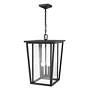 5_Z-Lite Seoul 21 1/4" Black and Glass 3-Light Outdoor Hanging Light more views