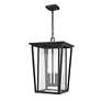 7_Z-Lite Seoul 21 1/4" Black and Glass 3-Light Outdoor Hanging Light more views