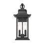 5_Z-Lite Tiberius 18" High Black 2-Light Outdoor Wall Light more views