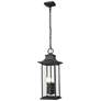 1_Z-Lite Tiberius 22 3/4"H Black 4-Light Outdoor Hanging Light