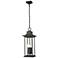 Z-Lite Tiberius 22 3/4"H Black 4-Light Outdoor Hanging Light