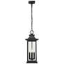 5_Z-Lite Tiberius 22 3/4"H Black 4-Light Outdoor Hanging Light more views
