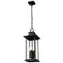 7_Z-Lite Tiberius 22 3/4"H Black 4-Light Outdoor Hanging Light more views