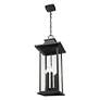4_Z-Lite Tiberius 31 1/2"H Black 6-Light Outdoor Hanging Light more views