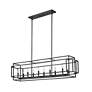 Z-Lite Titania 13" Wide Matte Black 10-Light Linear Pendant in scene