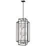 3_Z-Lite Titania 20" Wide Black And Brushed Nickel 12-Light Chandelier