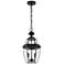 Z-Lite Westover 18.8" High Black 2-Light Outdoor Hanging Porch Light