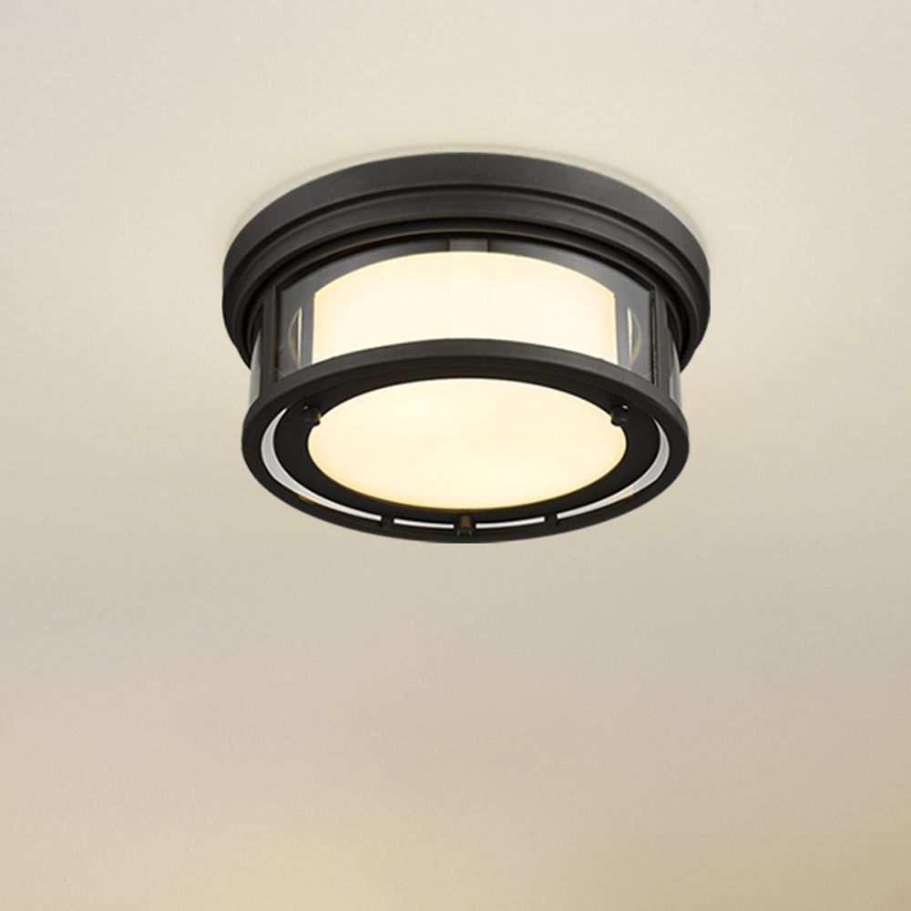 Z-Lite Willow Bronze Collection