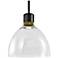 Zigrina 10" LED 3CCT Clear Dome Glass Pendant, Black & Brass Metal