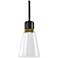 Zigrina 7" LED 3CCT Clear Bell Glass Pendant, Black with Brass Metal F