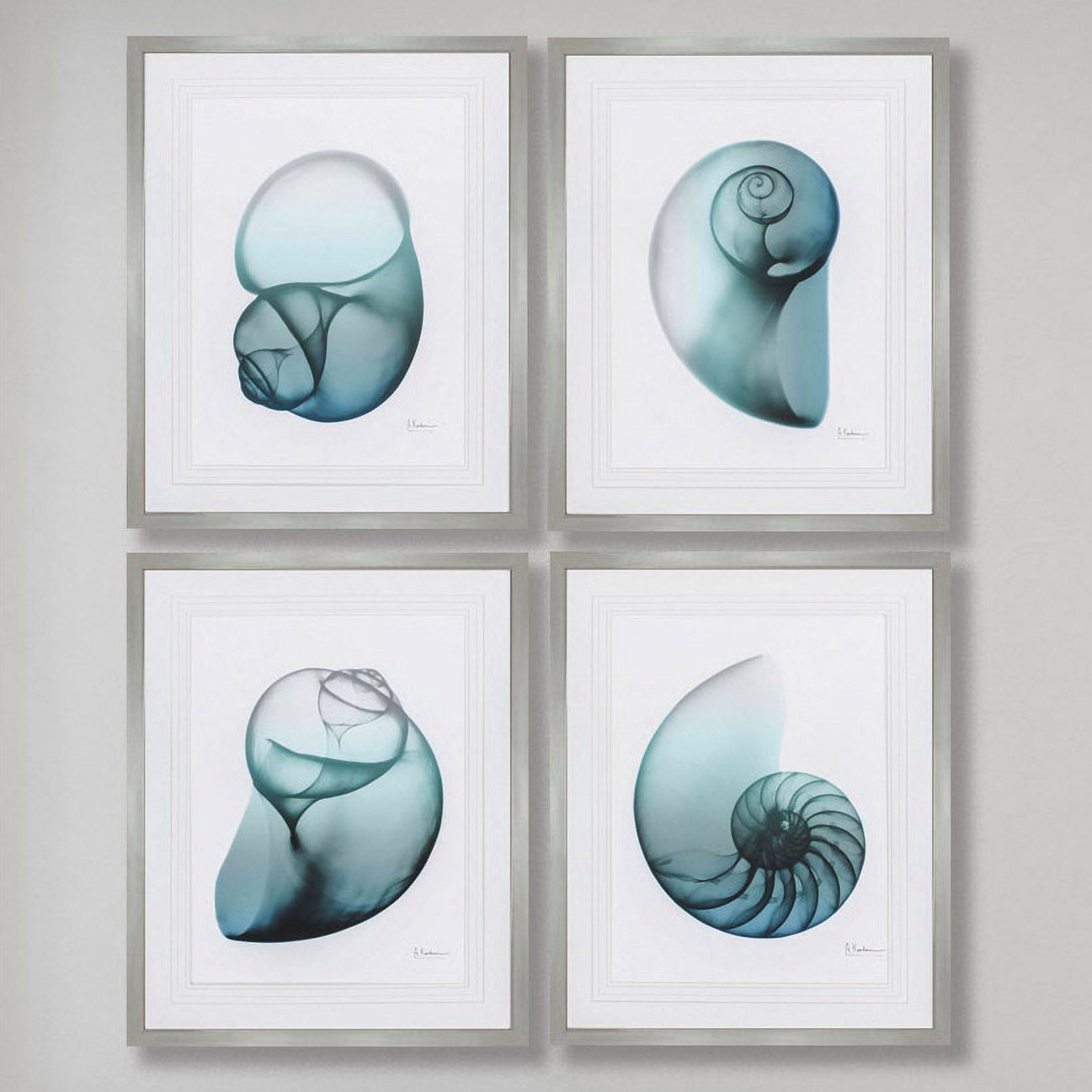 Blue Shell 32" High 4-Piece Framed Wall Art Print Set