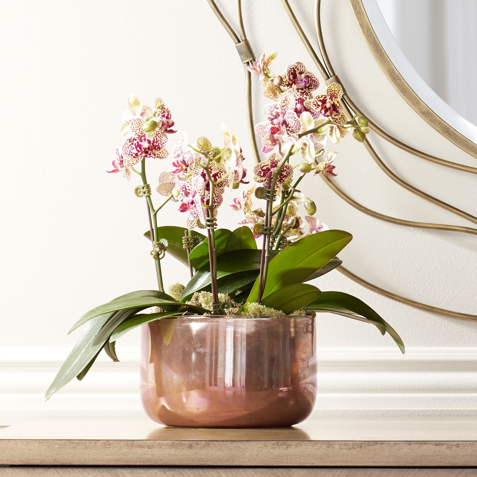 Jamie Young Vapor Metallic Lavender 7" Wide Glass Vase