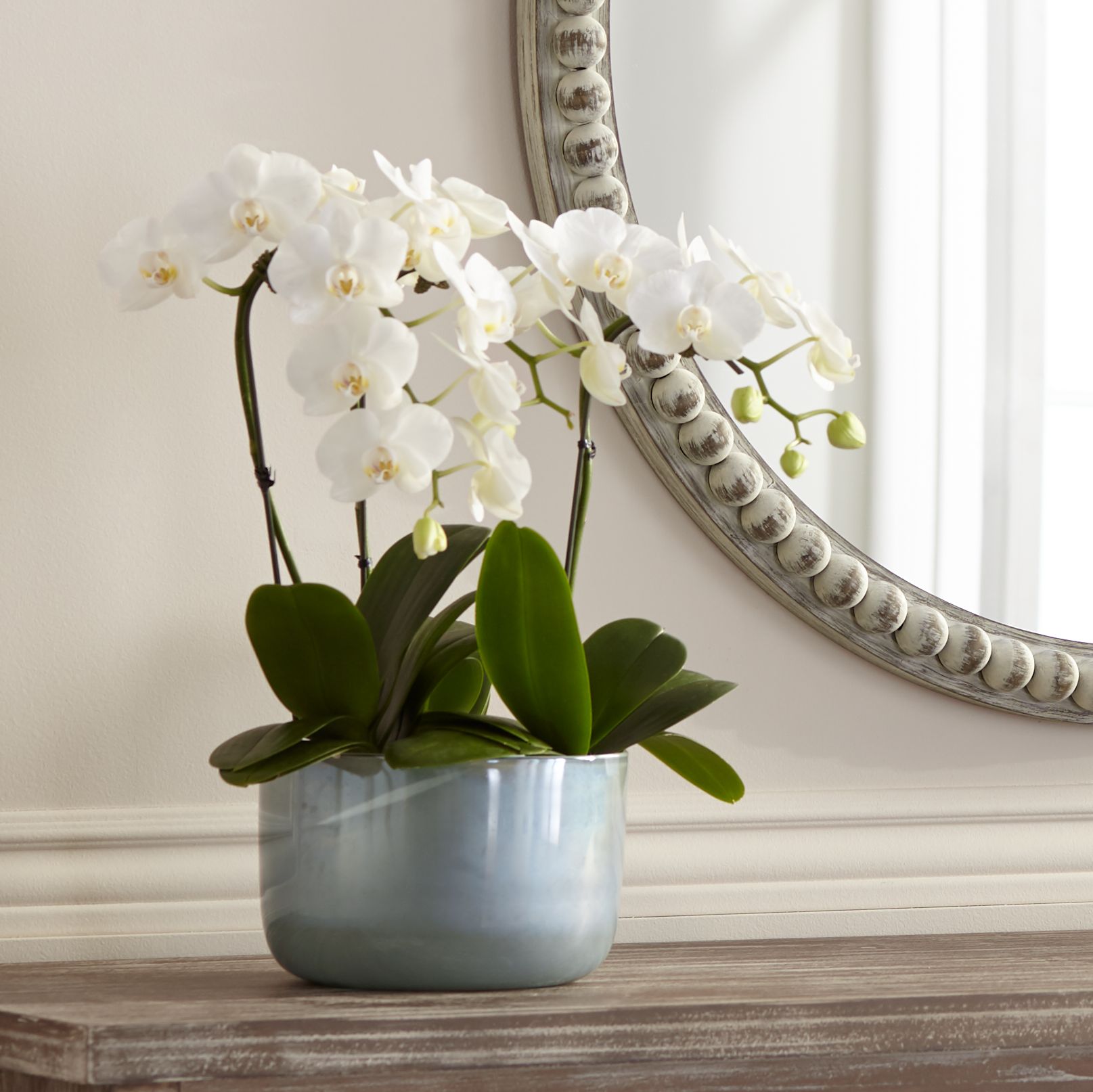 Jamie Young 7" Wide Vapor Metallic Opal Glass Vase