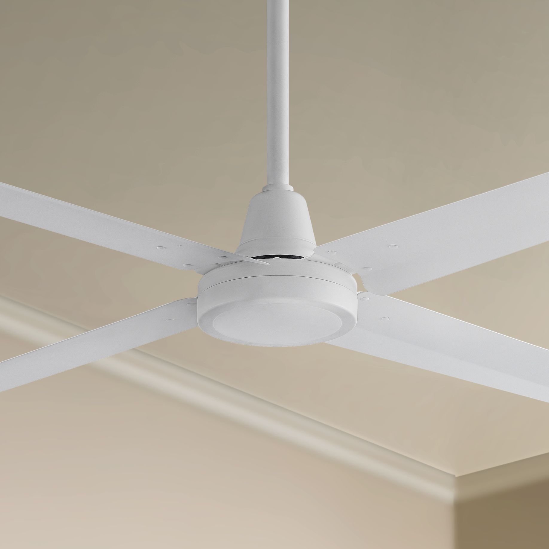54" Fanimation Ascension Matte White Damp Ceiling Fan