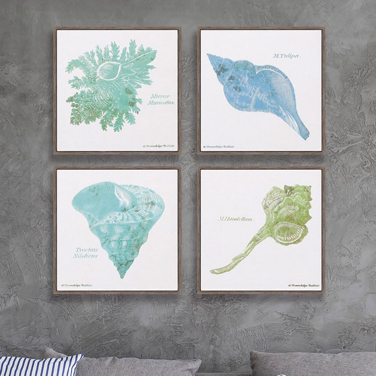 Shell on White 4-Piece 12" Square Canvas Wall Art Set