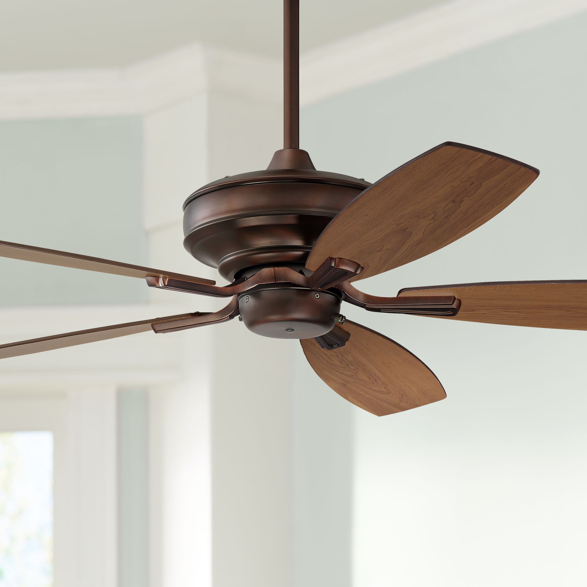 Pros Specials Traditional Ceiling Fans Lamps Plus